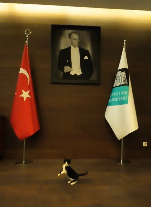 BAŞKAN AKPOLAT, BELEDİYENİN SAHİPLENDİĞİ KEDİ YAVRUSUNA İSİM BULUNMASI İÇİN ÇAĞRI YAPTI