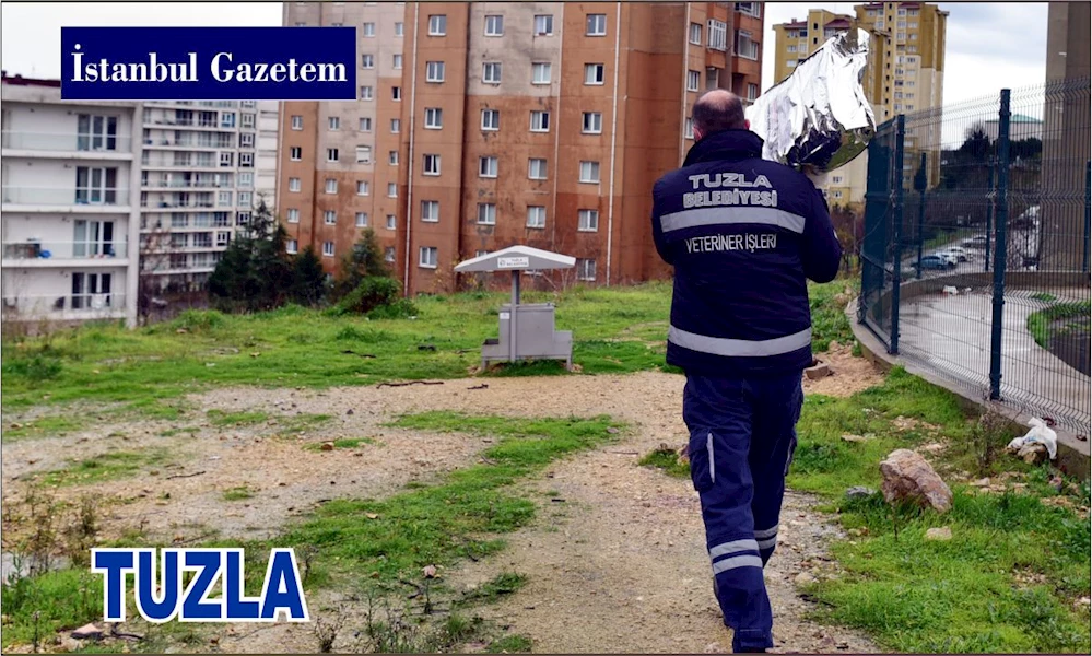 TUZLA BELEDİYESİ, CAN DOSTLARIMIZI UNUTMADI ..!