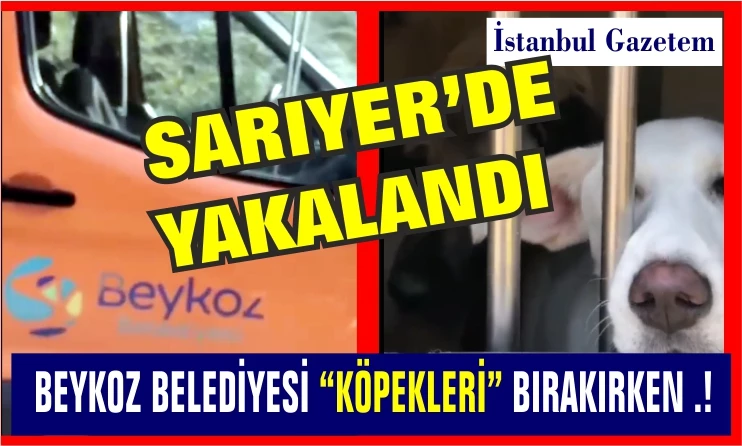 BEYKOZ BELEDİYESİ İÇİN SKANDAL İDDİA