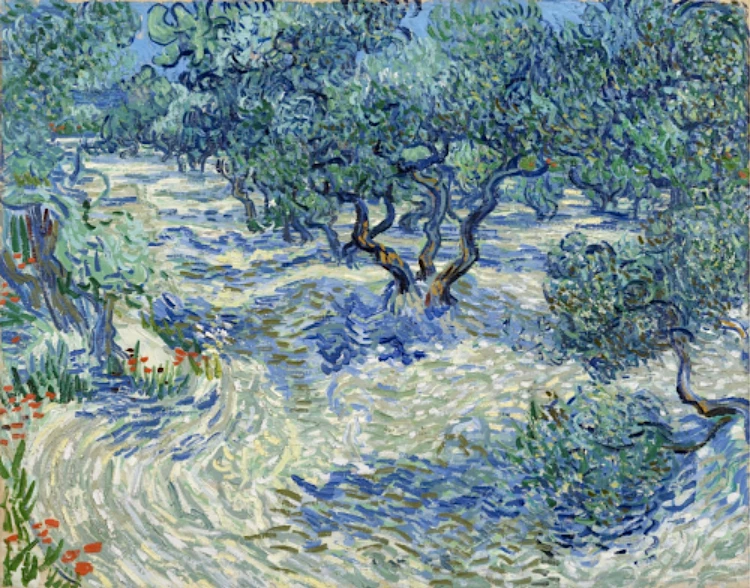 KÜÇÜKÇEKMECE’DE , VINCENT VAN GOGH İLE BİRLİKTE ZEYTİN AĞAÇLARI GÖLGESİNDE” AKSM’DE