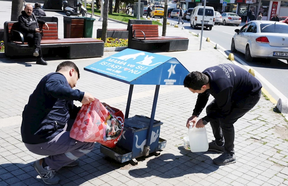 KÜÇÜKÇEKMECE’DE SOKAK HAYVANLARI UNUTULMUYOR